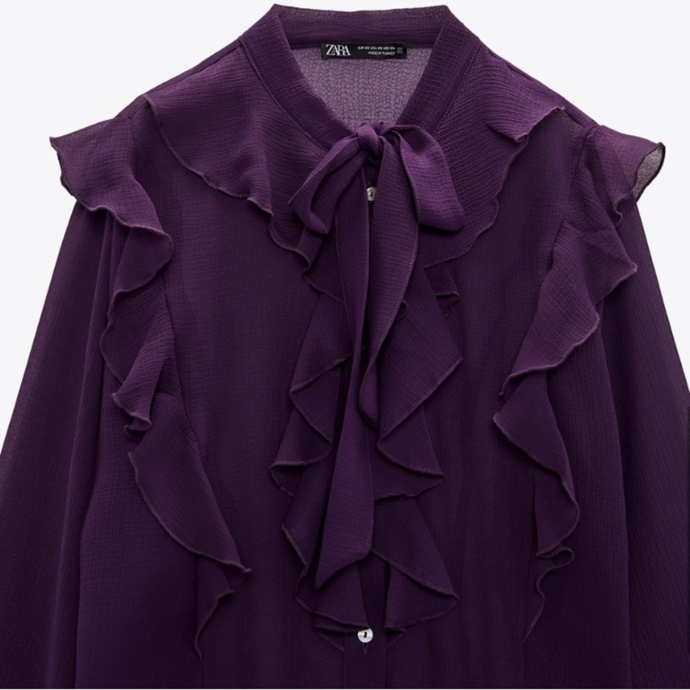 Zara Deep Purple Sheer Ruffle Blouse - Picture 7 of 11